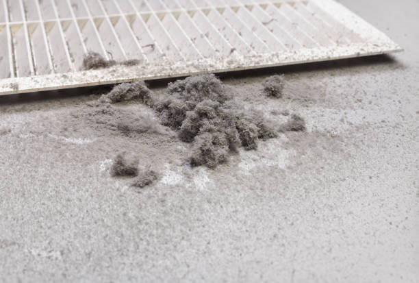 Best Best Air Duct Cleaning Company  in Port Clinton, OH