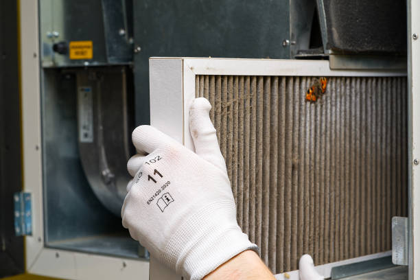 Best Dryer Vent Cleaning Services  in Port Clinton, OH
