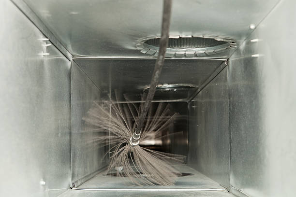 Best Air Duct Sanitizing Services  in Port Clinton, OH